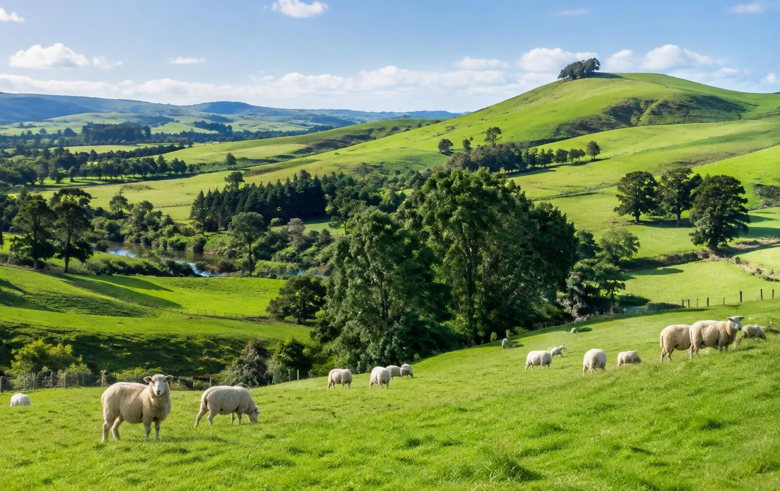 Nature and Culture – 3-Day Tour of New Zealand’s North Island