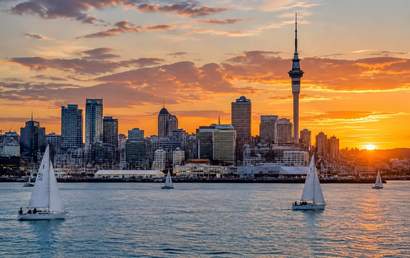 Nature and Culture – 7-Day Tour of New Zealand’s North Island
