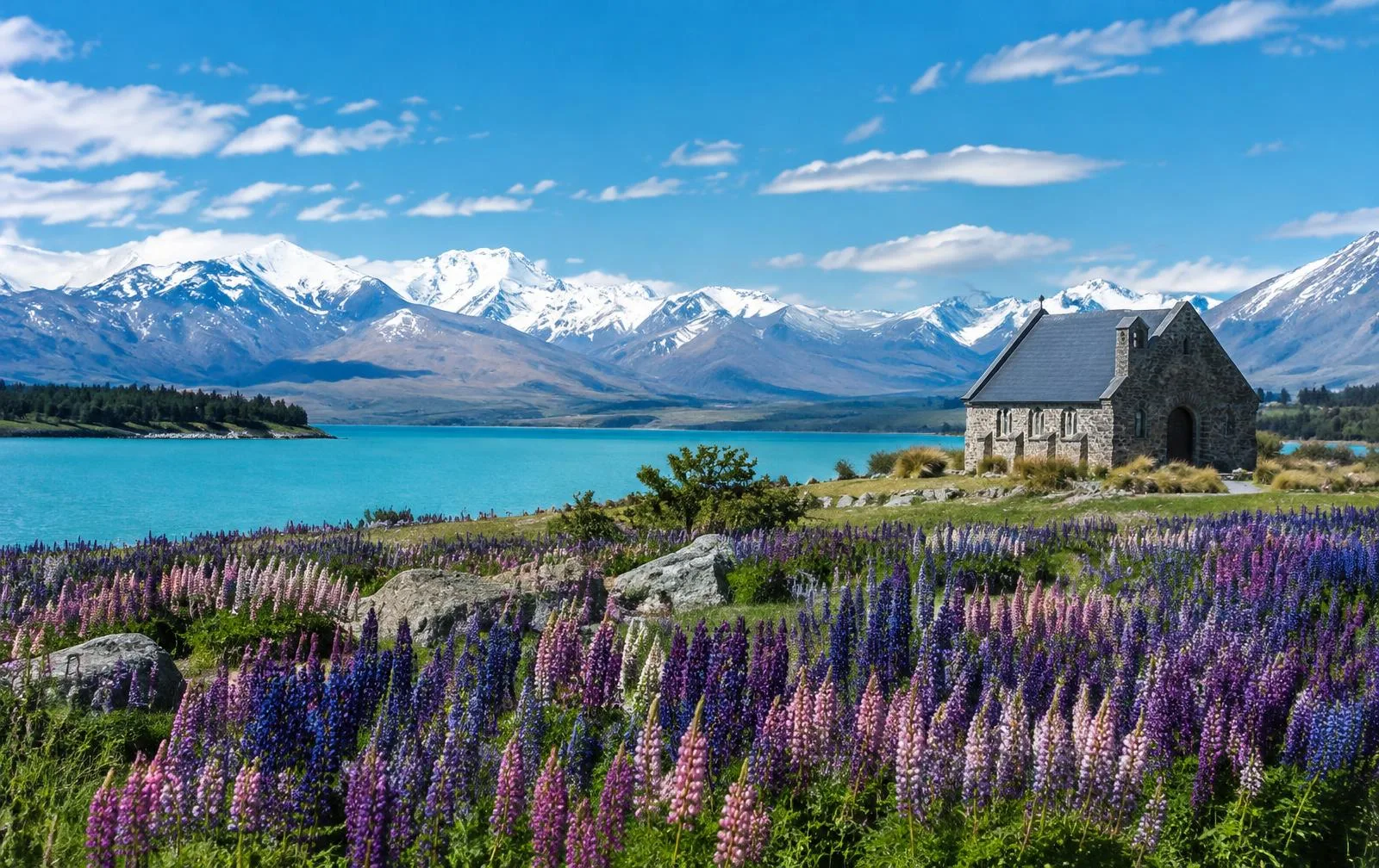 Sweet· Honeymoon Journey – New Zealand Honeymoon Tour